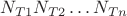 $ N_{T1}N_{T2} \dots N_{Tn}$