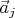 $\vec a_j$