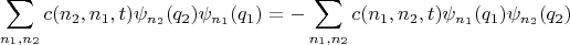 $$\sum\limits_{n_1,n_2}c(n_2,n_1,t)\psi_{n_2}(q_2)\psi_{n_1}(q_1)=-\sum\limits_{n_1,n_2}c(n_1,n_2,t)\psi_{n_1}(q_1)\psi_{n_2}(q_2)$$