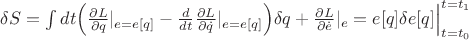 $\delta S=\int dt \Bigl(\frac{\partial L}{\partial q}|_{e=e[q]}-\frac{d}{dt}\frac{\partial L}{\partial\dot{q}}|_{e=e[q]}\Bigr)\delta q+\frac{\partial L}{\partial\dot{e}}|_e=e[q]\delta e[q]\Big|_{t=t_0}^{t=t_1}
$