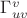 $\Gamma^v_{uv}$