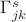 $\Gamma_{jk}^s$