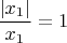 $\dfrac {|x_1|} {x_1} = 1$