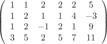 $$ \left( \begin{array}{cccccc} 1 & 1 & 2 & 2 & 2 & 5 \\ 1 & 2 & 1 & 1 & 4 & -3 \\ 1&2 & -1 & 2 & 1 & 9 \\ 3 & 5 & 2 & 5 & 7 & 11 \end{array} \right) $$
