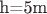 h=5m