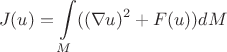 $$J(u) = \int \limits_M ((\nabla u)^2 + F(u)) dM$