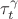 $\tau_t^\gamma$