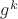 $g^k$