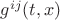 $g^{ij}(t,x)$