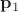 $\mathbf{p}_1$