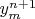 $y^{n+1}_{m}$