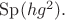 $\operatorname{Sp}(hg^2).$