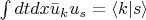 $\int dt dx \bar u_k u_s = \langle k \lvert s \rangle$