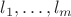 $l_1,\ldots,l_m$