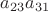 $a_{23}a_{31}$