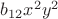 $b_{12}x^2y^2$