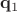 $\mathbf q_1$