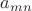 $a_{mn}$
