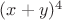 $(x+y)^4$