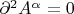 $\partial^2 A^\alpha=0$