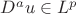 $D^au \in L^p$