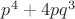 $p^4+4pq^3$