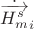 $\dot{\overrightarrow{H_m^s}}_i$