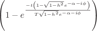 $
\[
\left( {1 - e^{\frac{{ - t\left( {1 - \sqrt {1 - h^2 } e^{ - \alpha  - i\phi } } \right)}}
{{T\sqrt {1 - h^2 } e^{ - \alpha  - i\phi } }}} } \right)
\]
$