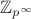 $\mathbb Z_{p^{\infty}}$
