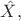 $\hat{X},$