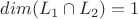 $dim(L_1 \cap L_2) = 1 $