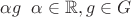 $\alpha g \;\; \alpha \in \mathbb R, g\in G$