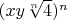 $(x y \sqrt[n]{4})^n$