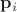 $\mathbf p_i$