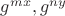 $g^{mx}, g^{ny}$