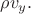 $\rho v_y.$