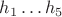 $h_1\dots h_5$