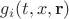 $g_i(t,x,\mathbf{r})$