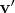 $\mathbf{v}'$