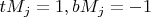 $tM_j=1, bM_j=-1$