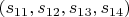$(s_{11}, s_{12}, s_{13}, s_{14})$
