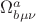 $\Omega^{a}_{b \mu \nu}$