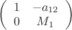 $\left( \begin {array} {ccc}1 & -a_{12} \\0 & M_1\\\end {array}\right)$