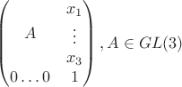 $$
 \begin{pmatrix} A & \begin{matrix} x_1\\\vdots \\ x_3 \end{matrix} \\ 0 \dots 0 & 1 \end{pmatrix}, A \in GL(3)
$$