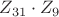 $Z_{31}\cdot Z_9$