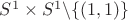 $S^1 \times S^1 \backslash \{(1,1)\}$