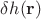 $\delta h(\mathbf{r})$