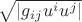 $\sqrt{|g_{ij}u^iu^j|}$