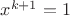 $x^{k+1}=1$