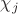$\chi _j$ $\chi _j$